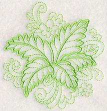 Doodle Ferns - Image 4