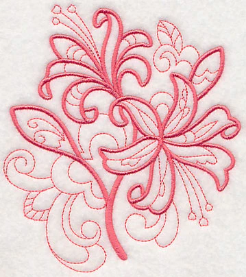 Doodle Nerine - Image 2