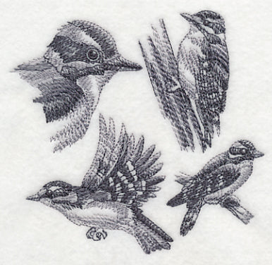 Downy Woodpecker Sketch - Image 3