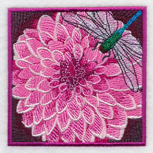 Dragonfly on Dahlia - Image 5