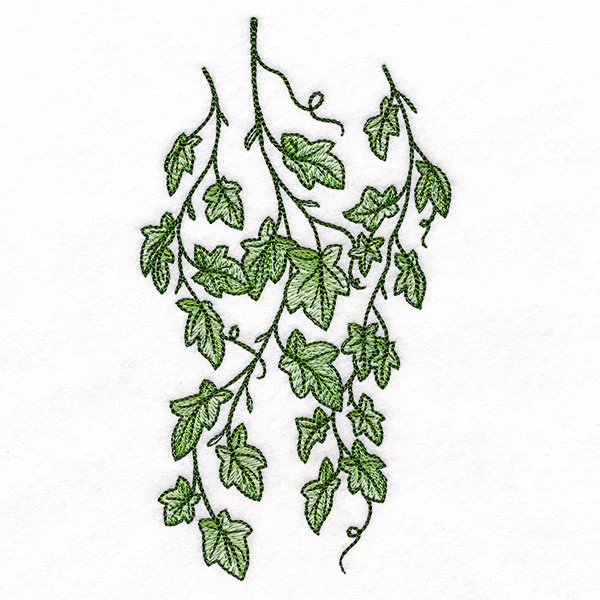 Draping English Ivy Border - Image 4