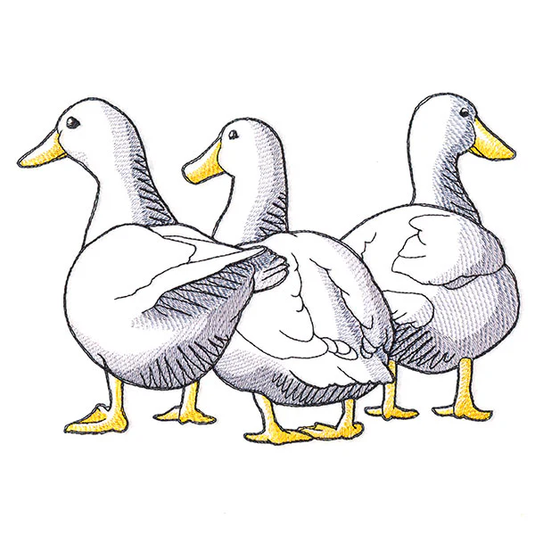 Duck Trio - Back - Image 2