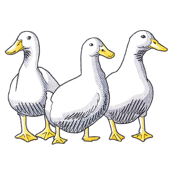 Duck Trio - Front - Image 2