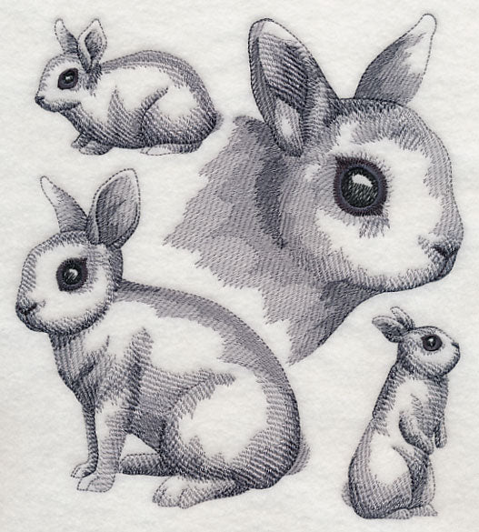 Dwarf Hotot Sketch - Image 4
