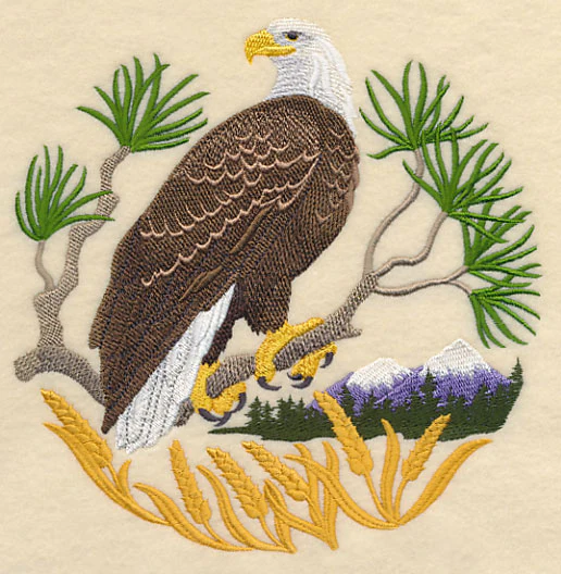 Eagle Scene - Image 3