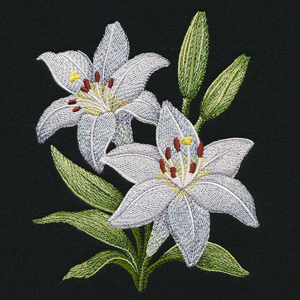 Easter Lily Blooms - Image 3