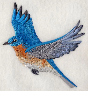 Eastern Bluebird in Flight - Image 2