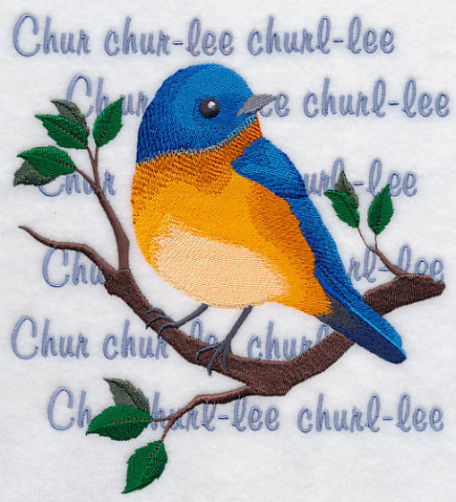 Eastern Bluebird Song - Image 2