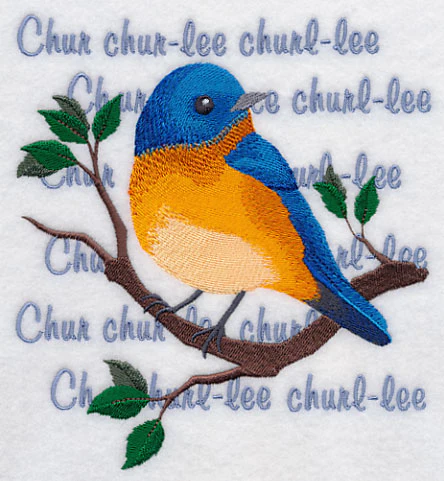 Eastern Bluebird Song - Image 3