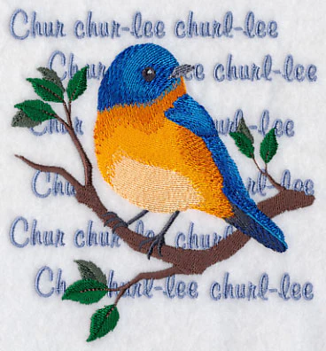 Eastern Bluebird Song - Image 4