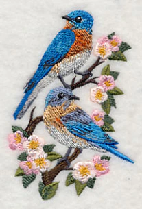 Eastern Bluebirds and Blossoms - Image 2