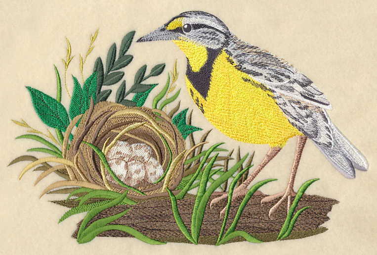 Eastern Meadowlark and Nest - Image 5