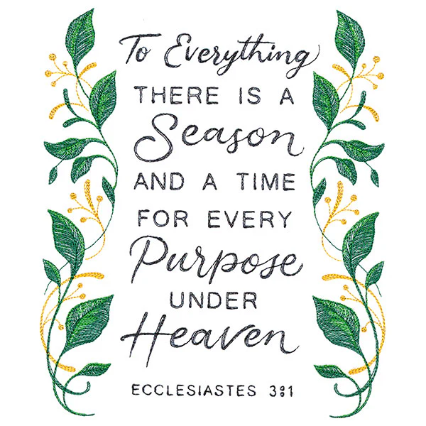 Ecclesiastes 3:1 - Image 7
