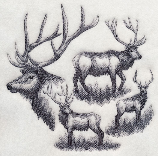 Elk Sketch - Image 2