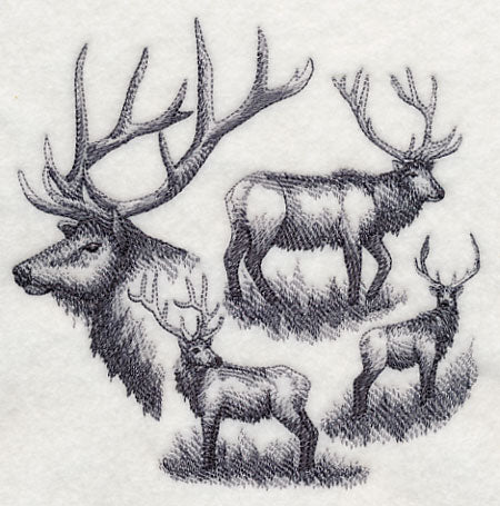 Elk Sketch - Image 3