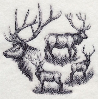 Elk Sketch - Image 4