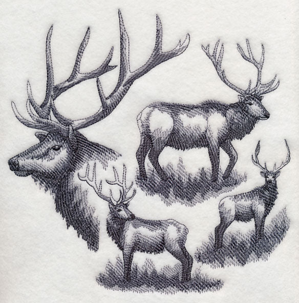 Elk Sketch - Image 5