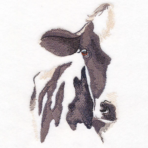 Elusive Cow