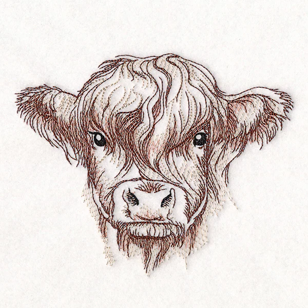 Elusive Highland Cow Portrait - Image 3