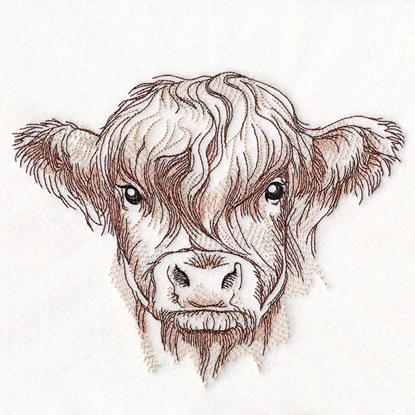 Elusive Highland Cow Portrait - Image 4