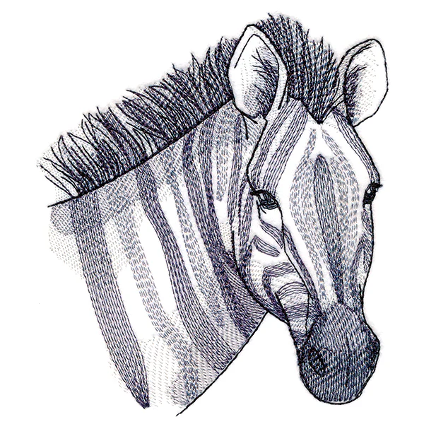 Elusive Zebra - Image 5