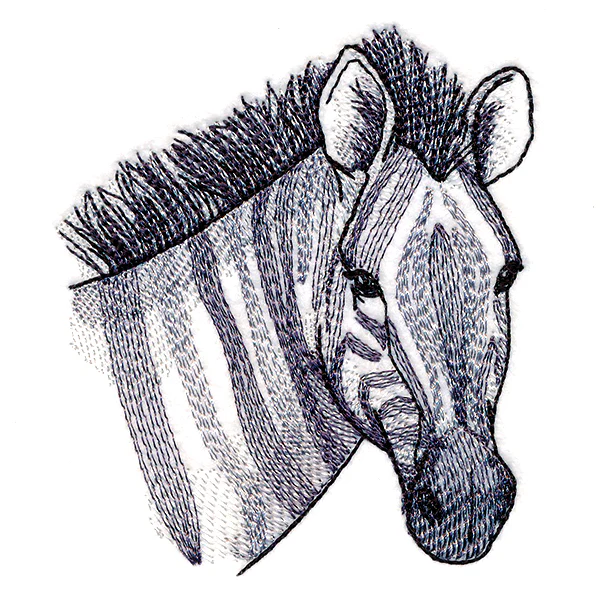 Elusive Zebra - Image 7