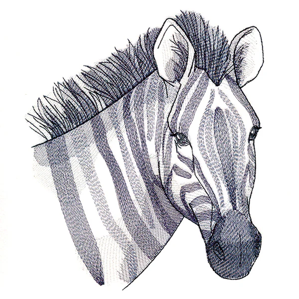Elusive Zebra - Image 9