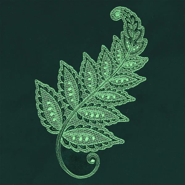 Emerald Dreams Fern - Image 2