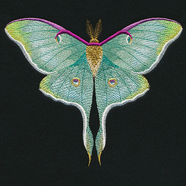 Emerald Luna Moth - Image 2