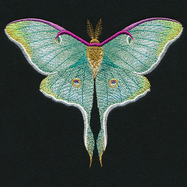 Emerald Luna Moth - Image 3