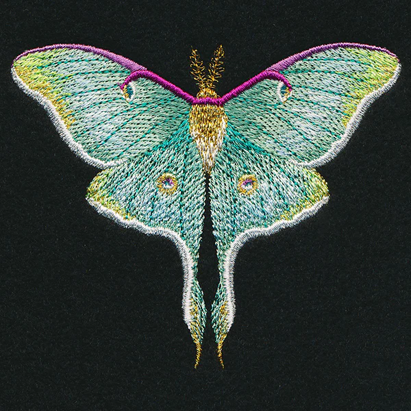 Emerald Luna Moth - Image 4