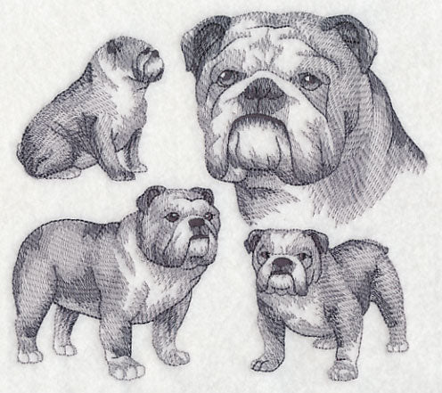 English Bulldog Sketch - Image 2
