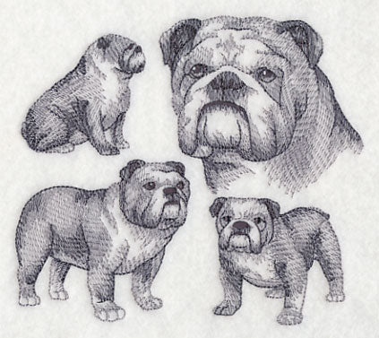 English Bulldog Sketch - Image 3
