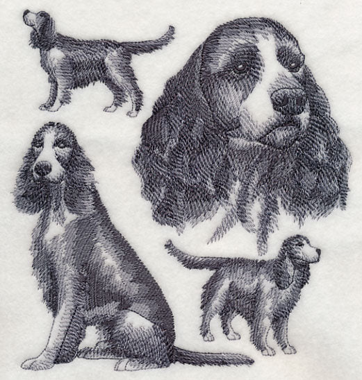 English Springer Spaniel Sketch (Full Tail) - Image 2