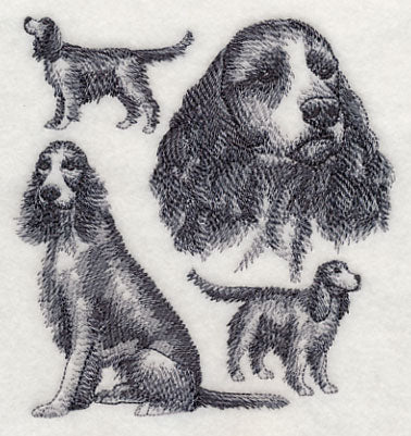 English Springer Spaniel Sketch (Full Tail) - Image 4