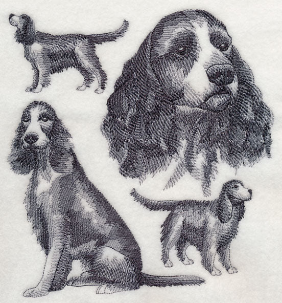 English Springer Spaniel Sketch (Full Tail) - Image 5