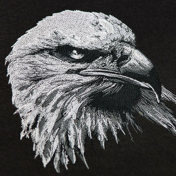 Etching Bald Eagle - Image 2
