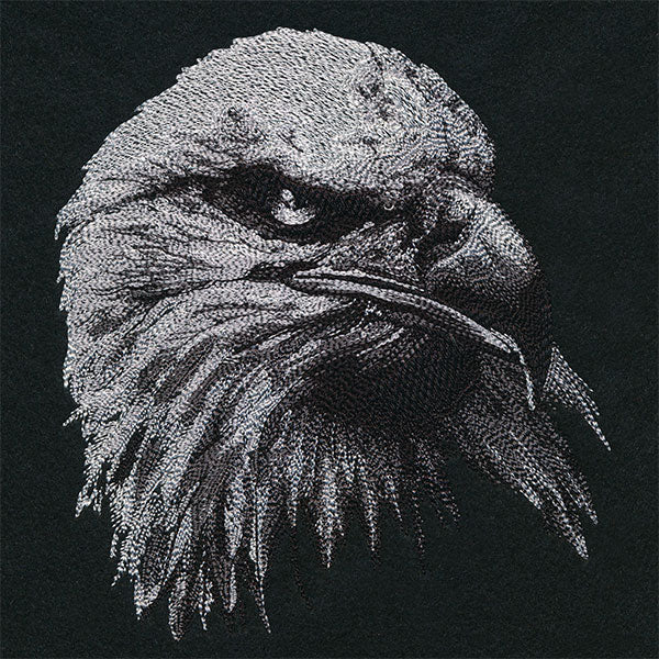 Etching Bald Eagle - Image 3