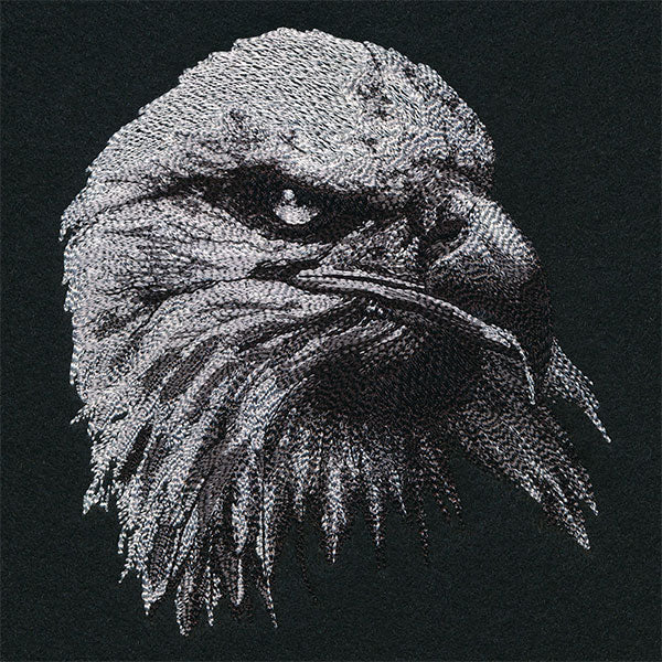 Etching Bald Eagle - Image 5