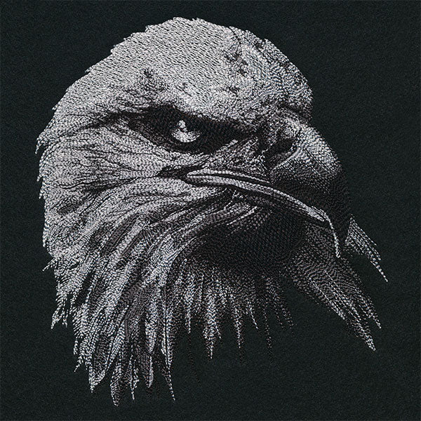 Etching Bald Eagle - Image 7
