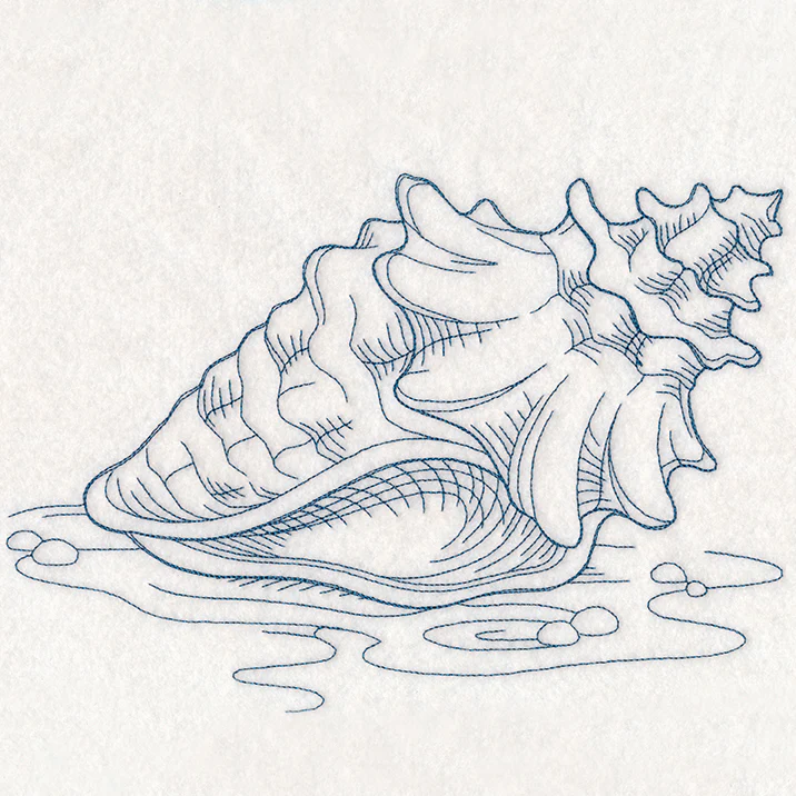 Etching Seashell