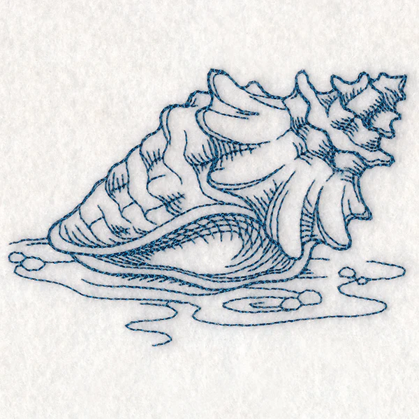 Etching Seashell - Image 4