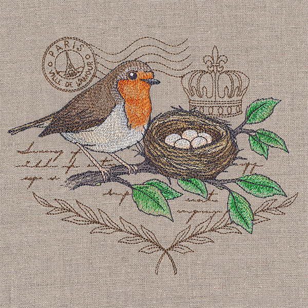 European Robin Medley - Image 2