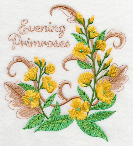 Evening Primroses with Flourish - Image 2