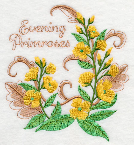 Evening Primroses with Flourish - Image 3