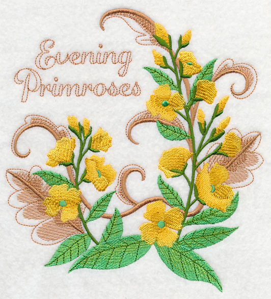 Evening Primroses with Flourish - Image 5