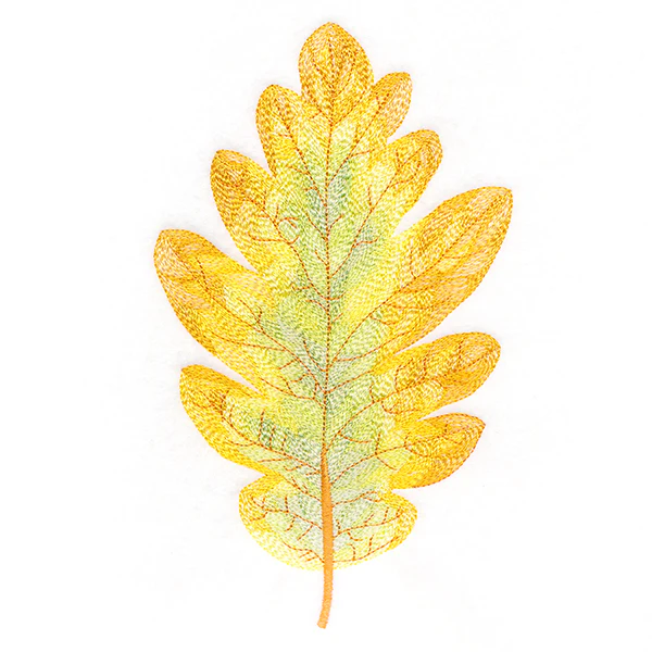 Exquisite Oak Leaf - Image 6
