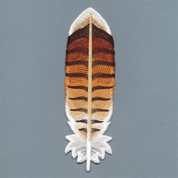 Exquisite Red-tailed Hawk Feather (In-the-Hoop) - Image 2