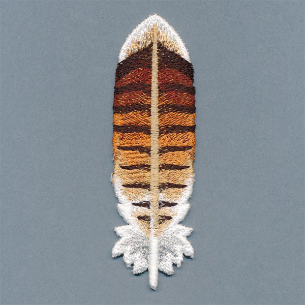 Exquisite Red-tailed Hawk Feather (In-the-Hoop) - Image 3