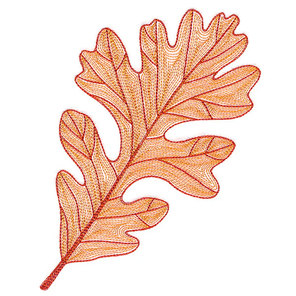 Fall into Autumn - Oak Leaf - Image 3